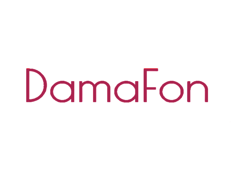 CRM для небольшого отдела продаж компании «DamaFon»
